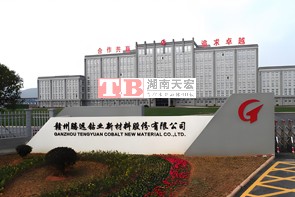 赣州腾远钴业新材料股份有限公司