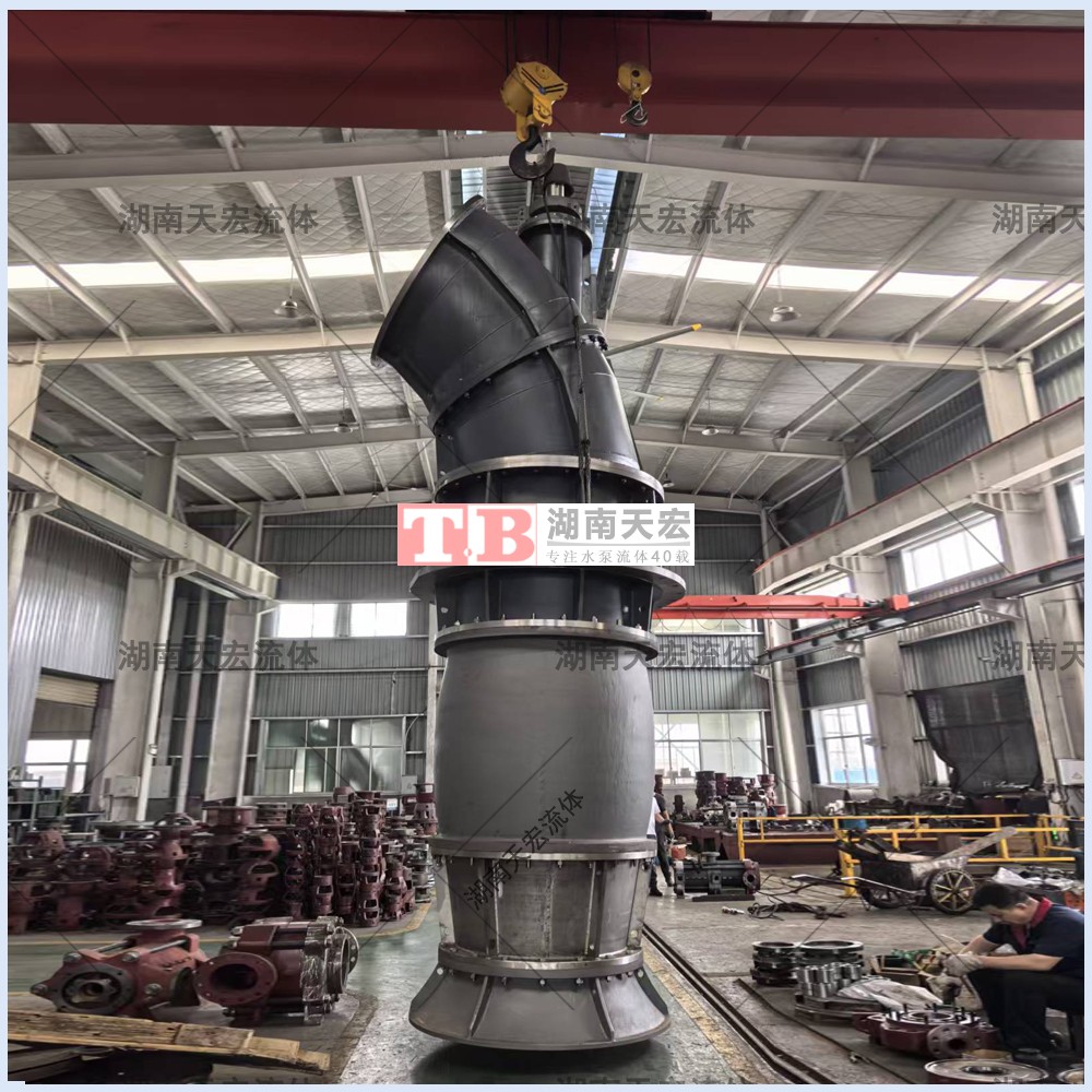 船坞排水泵（立式斜流泵）